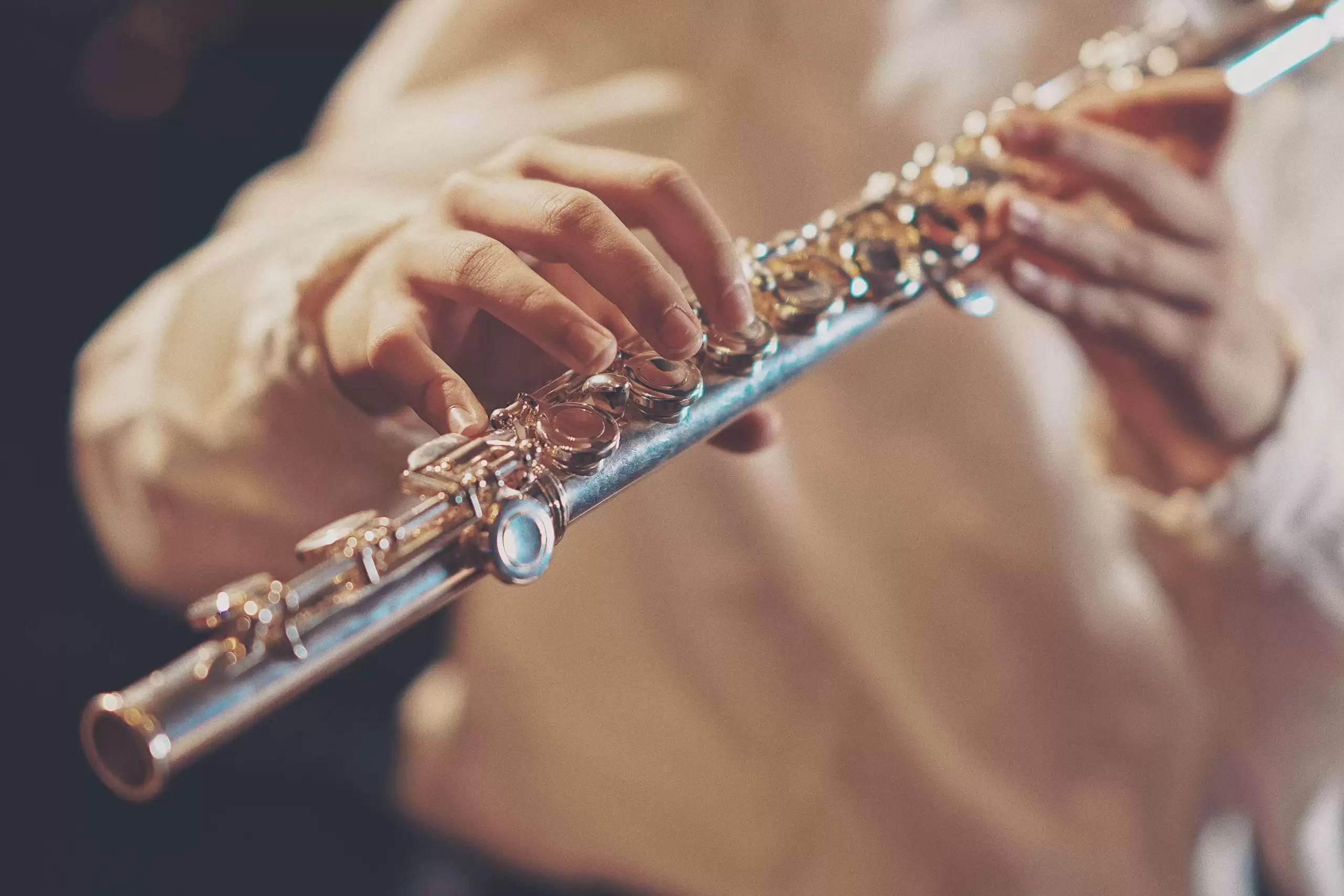 Professional Musician